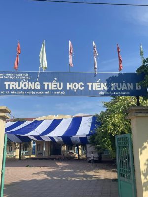 Dù che sự kiện sân trường 15mx20m